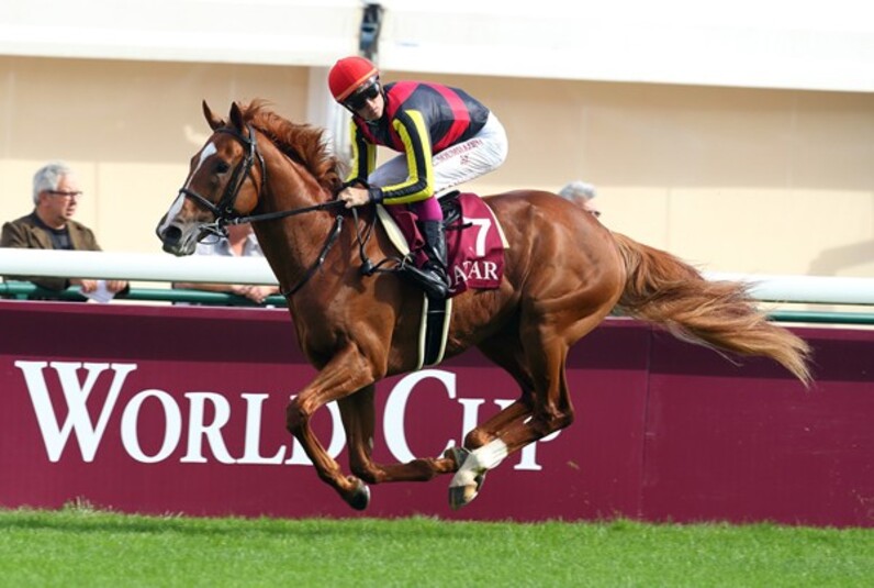 うなれ黄金の豪脚！ オルフェーヴル悲願の世界一へ待ったなし