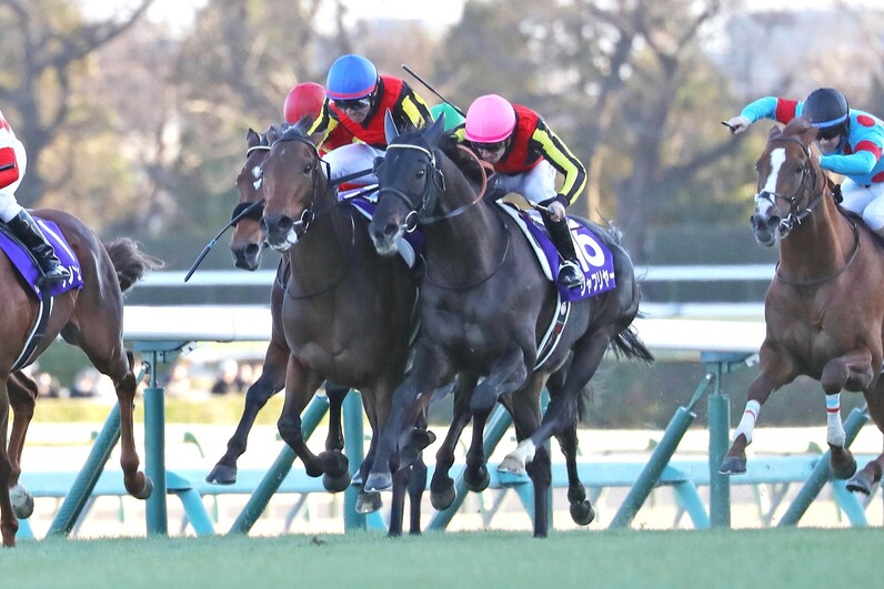 馬券　レガレイラ　9種 馬券 レガレイラ 9種 レガレイラ 2024年 有馬記念 現地応援馬券