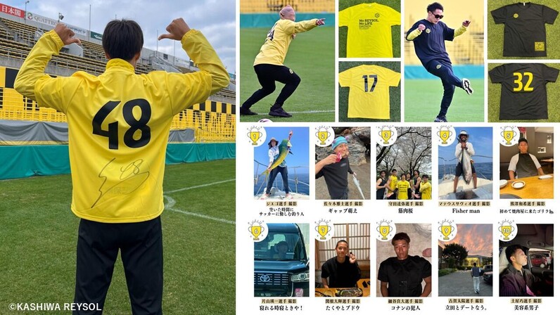 11/24日曜22時まで】『柏レイソルファン感謝デー2024』Tシャツ