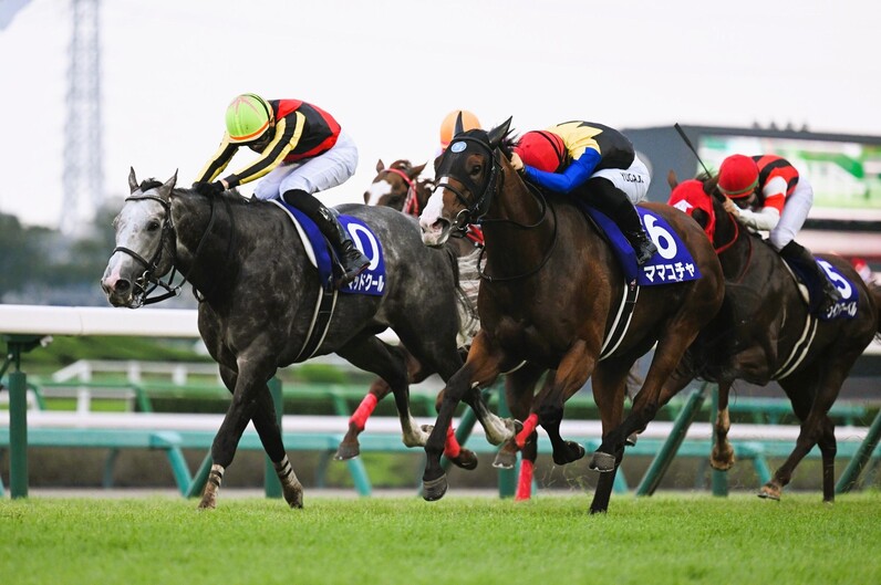⑨◆　競馬　JRA　◆　ママコチャ　◆　スプリンターズS　◆　２種類セット　◆ ◇ 競馬 JRA ◇ ママコチャ ◇ スプリンターズS ◇ 2種類の通販