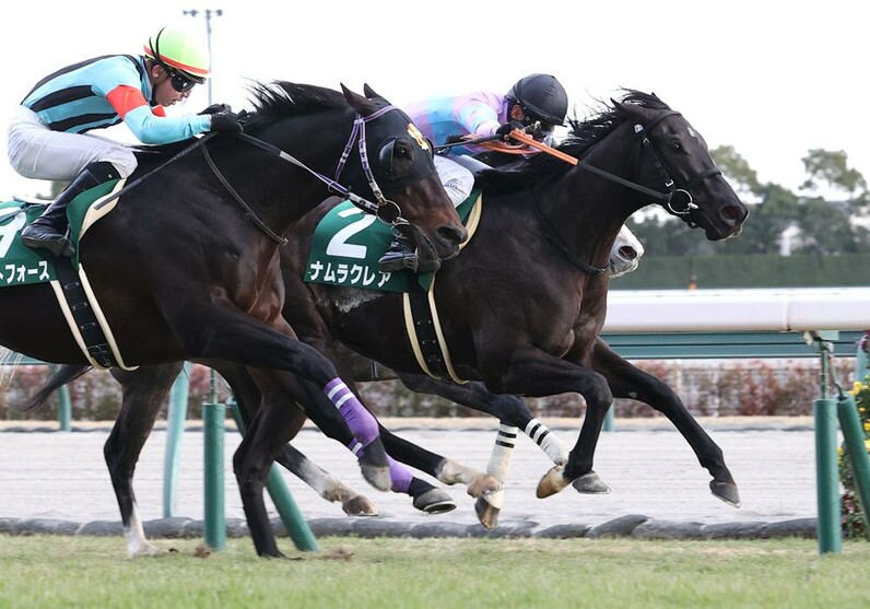 実績馬か上がり馬か伏兵馬か！ 高松宮記念を分析 - スポーツナビ