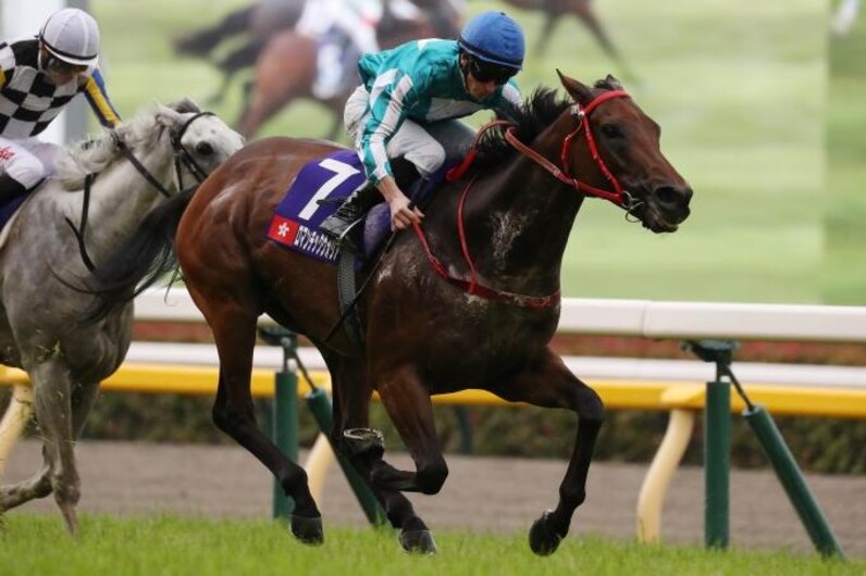 昨年の三冠牝馬リバティアイランド、桜花賞馬ステレンボッシュら
