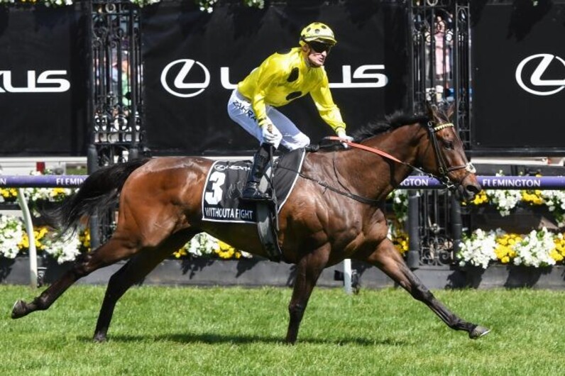 2021年　香港国際競走記念　ベスト 2021年 香港インターナショナルレース | 香港ナビ