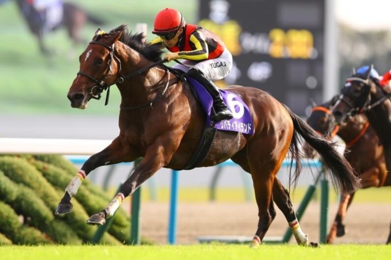 【競馬】リバティアイランド（桜花賞）現地単勝馬券／的中／期限切れ 競馬】リバティアイランド（桜花賞）現地単勝馬券／的中