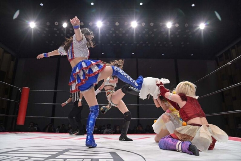 女子 プロレス コレクション 枕