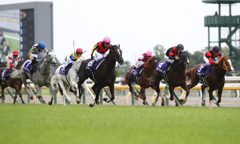 ソングライン史上2頭目の快挙！ ウオッカ以来のVMから連勝で安田