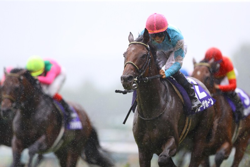◆　競馬　JRA　◆　ブローザホーン　◆　宝塚記念　◆　２種類セット　◆ 宝塚記念】ブローザホーンG1初制覇！18年ぶり淀開催で雨中の激走