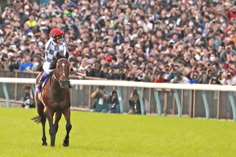 ゔ*す様 97年　第17回ジャパンカップ　14頭全馬券 パンサラッサ (第43回ジャパンカップ) 馬券ポーチ | 馬site