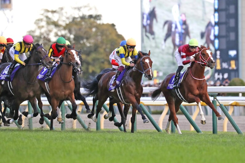 ジャパンカップ】「ドウデュースには感銘を受けた」世界の伯楽も