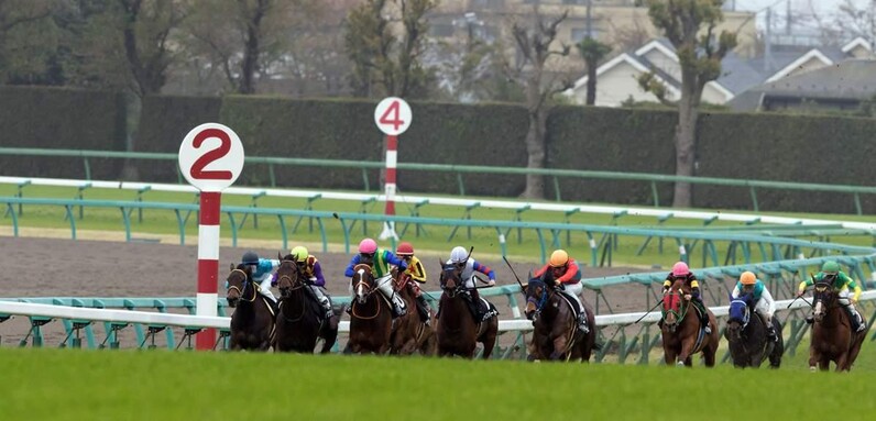 3週連続的中の競馬AIがステイヤーズS、チャレンジCを大予想 厳選ワイド3点＆3連複10点で勝負！ - スポーツナビ