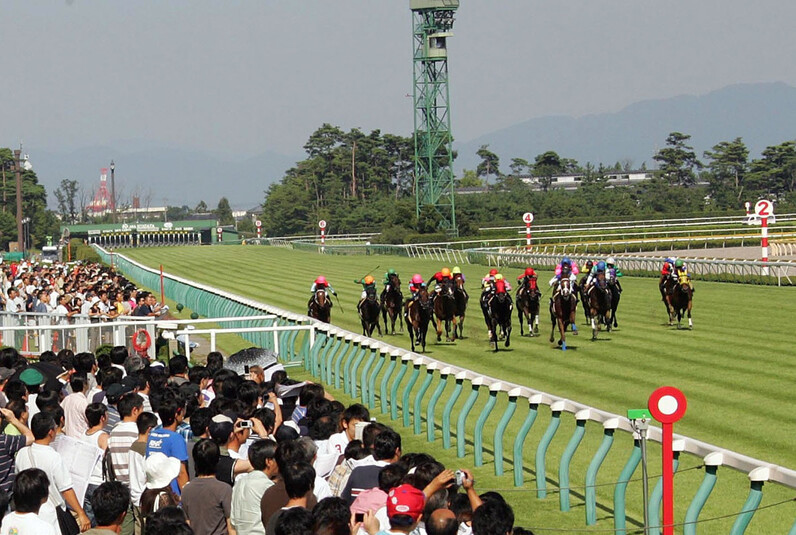 競馬aiがアイビスsd クイーンsを大予想 厳選ワイド3点 3連複10点で勝負 スポーツナビ