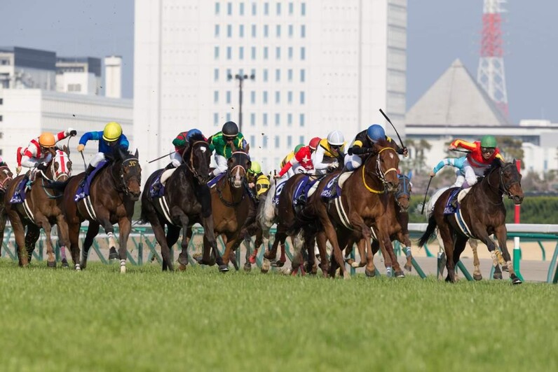 競馬 シンティレーション号 小倉牝馬ステークス(G3) 優勝｜シルク