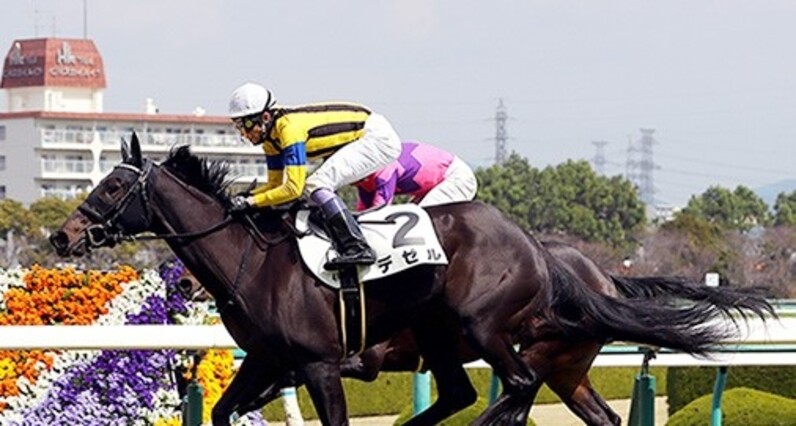 3歳未勝利戦でデビューする馬の狙いどころは？ - スポーツナビ