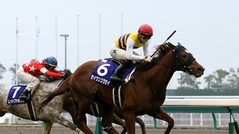 枠順とリピーターに注意！ 高松宮記念を分析する - スポーツナビ