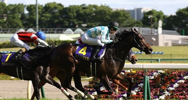 無敗で牝馬３冠達成ならば史上初！ 秋華賞を占う - スポーツナビ