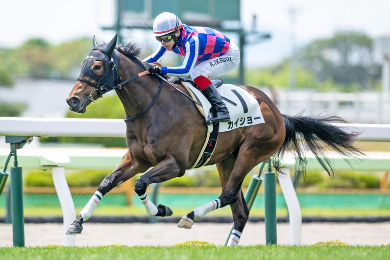 JRA 函館記念 重賞 コンプリート3点セット 函館記念】アドマイヤジャスタがブービー人気でV 3連単は