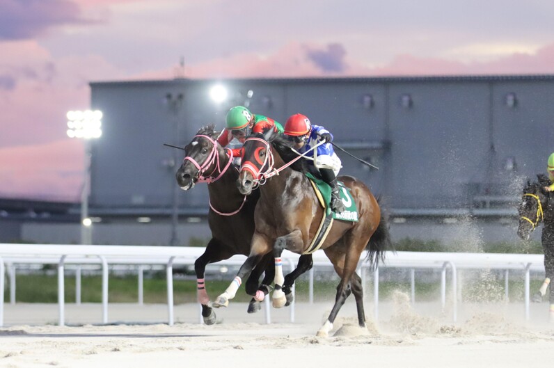 名古屋競馬】『サンケイスポーツ杯 第36回 秋の鞍（SPⅠ）』競走