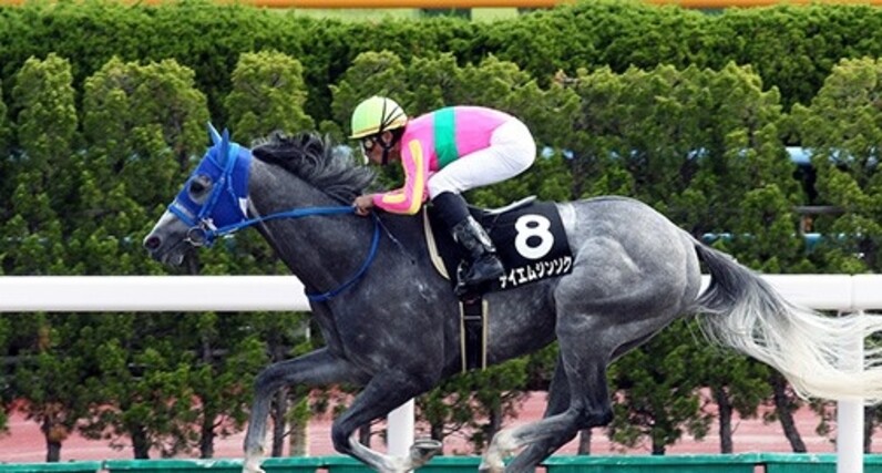 年末大幅値下げ中　テロマエロマエ　東海館 d34540f968.jpg?ct=d113d46487b3
