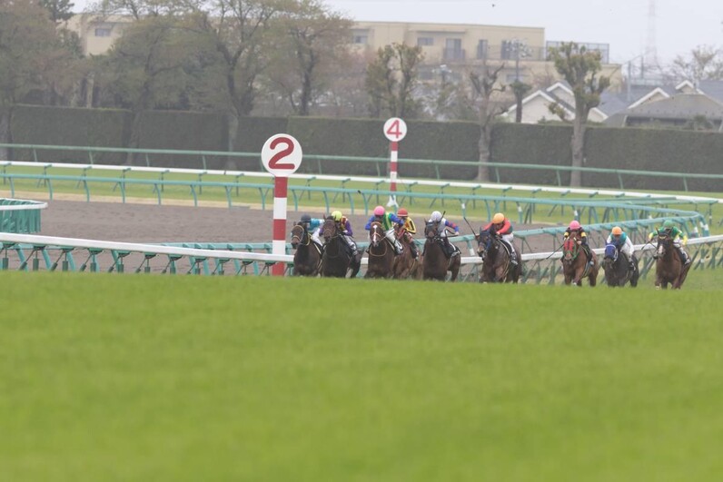 絶好調の競馬aiがajcc 東海sを大予想 有馬記念から単勝 複勝回収率が0 超え スポーツナビ