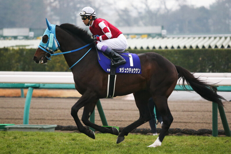 競馬AIが中山大障害、阪神カップを大予想 厳選ワイド3点＆3連複10点で勝負！ - スポーツナビ