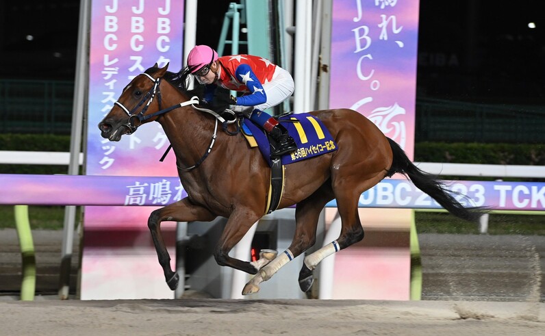 vrwP1cu9cY2YL4Fg3aXpJtHyHIQWv4