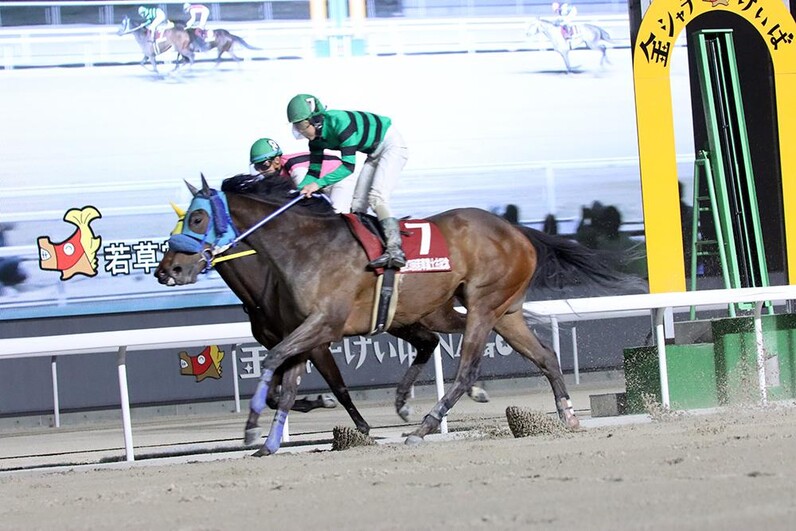 競馬パネル：トウショウボーイ「1977年 第7回高松宮杯」※カラー直線 第4回 高松宮杯の覇者 「 ハイセイコー 」 - 「 九州 ・ 沖縄