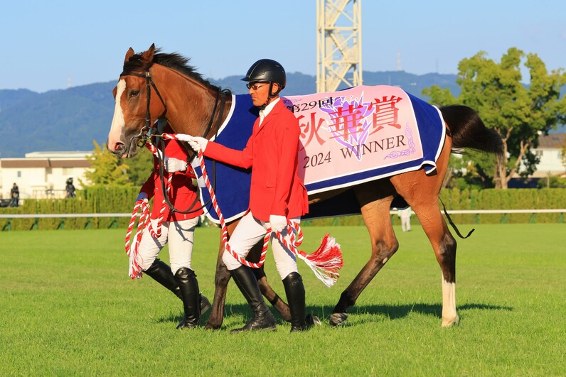 秋華賞】春秋二冠チェルヴィニア「レジェンドホースに」、次走JC向けルメール騎手も太鼓判 - スポーツナビ