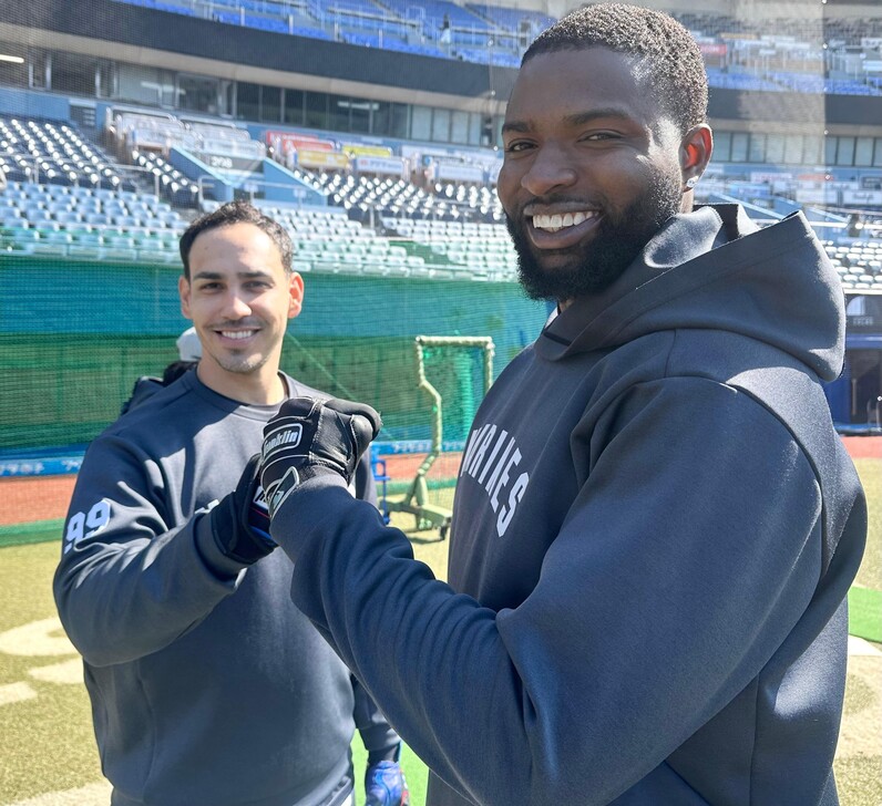 千葉ロッテマリーンズ　ポランコ選手実使用バット 千葉ロッテマリーンズ ポランコ選手実使用バット ロッテ