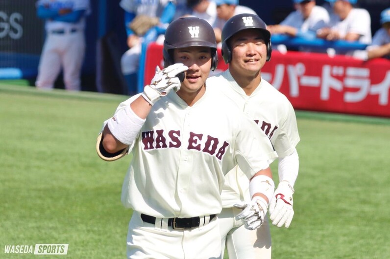 早稲田大学野球部　半袖Vジャン ファッション姫 通販 早稲田大学野球部 半袖Vジャン ウェア - ウェア