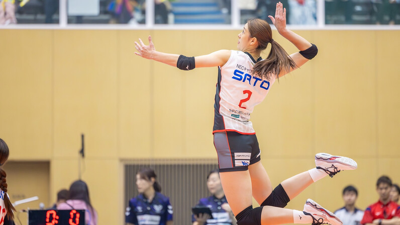 SVリーグ女子チャンピオンシップ SF見どころ】NEC川崎vsSAGA久光