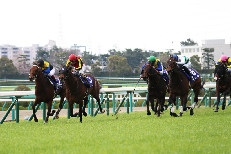 競馬AIが中山＆京都金杯を大予想 厳選ワイド3点＆3連複10点で勝負