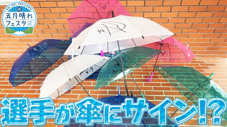 ゆ*こ様 ♡つば九郎実写デザイン♡ スワローズ 2025 五月晴れフェスタユニフ 5/27～29は五月晴れフェスタ開催！つば九郎デザインのグッズを