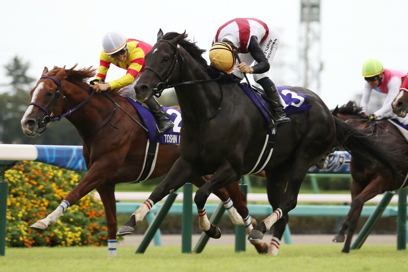 スプリンターズＳ】骨折乗り越えてルガル秋の最速王に 初GIの25歳・西村淳也騎手「競馬で記憶がなくなるなんて……」 - スポーツナビ