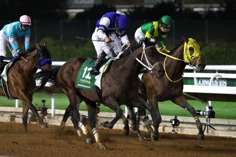 ㉓◆　競馬　JRA　◆　ウシュバテソーロ　◆ドバイワールドカップ◆２種類セット◆ ウシュバテソーロが引退 26億円超獲得は日本馬1位 ドバイ