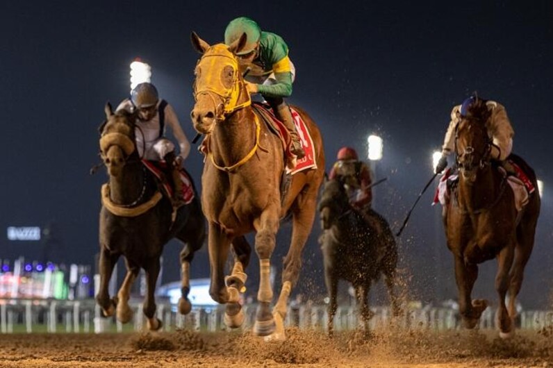 ㉓◆　競馬　JRA　◆　ウシュバテソーロ　◆ドバイワールドカップ◆２種類セット◆ ㉓◇ 競馬 JRA ◇ ウシュバテソーロ ◇ドバイワールドカップ◇2