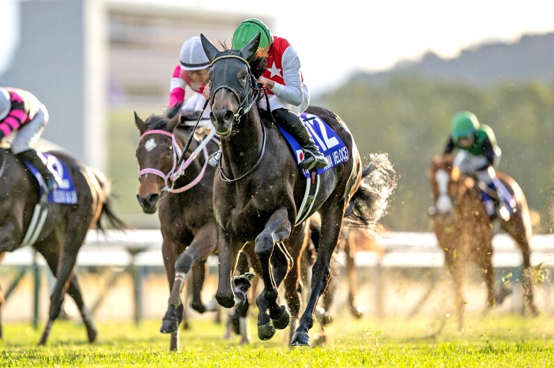 1992年G1レース馬券　エルウェーウィン　スエヒロジョウオー　新しい風 1992年 阪神3歳牝馬ステークス（GⅠ） | スエヒロジョウオー