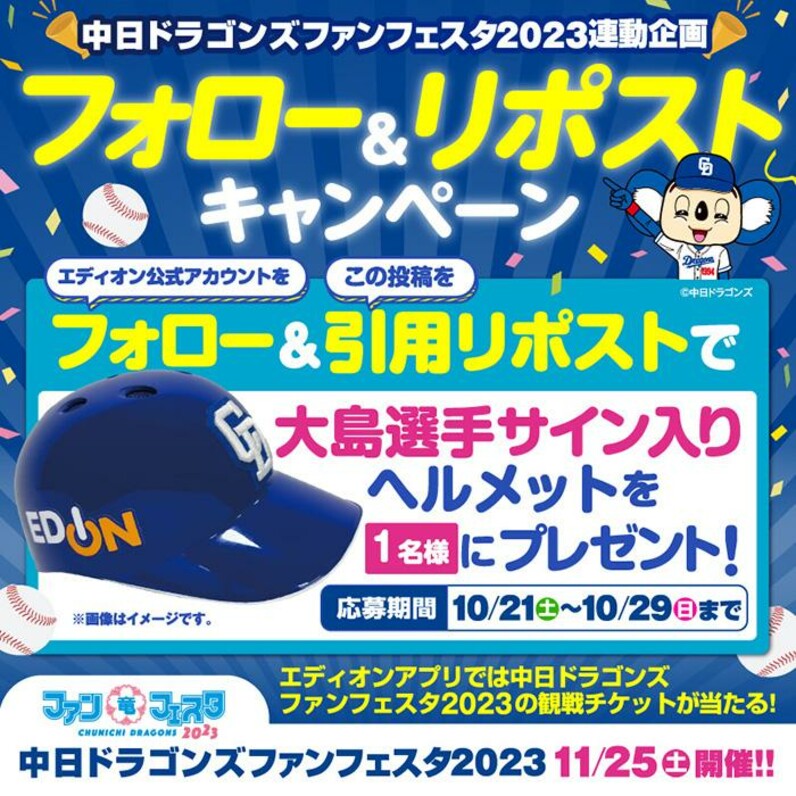 中日ドラゴンズ ファンフェスタチケット - スポーツ