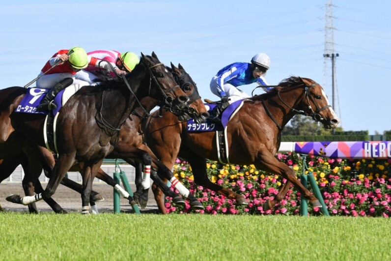 3連単100万円以上の大波乱G1の特徴とは？ - スポーツナビ
