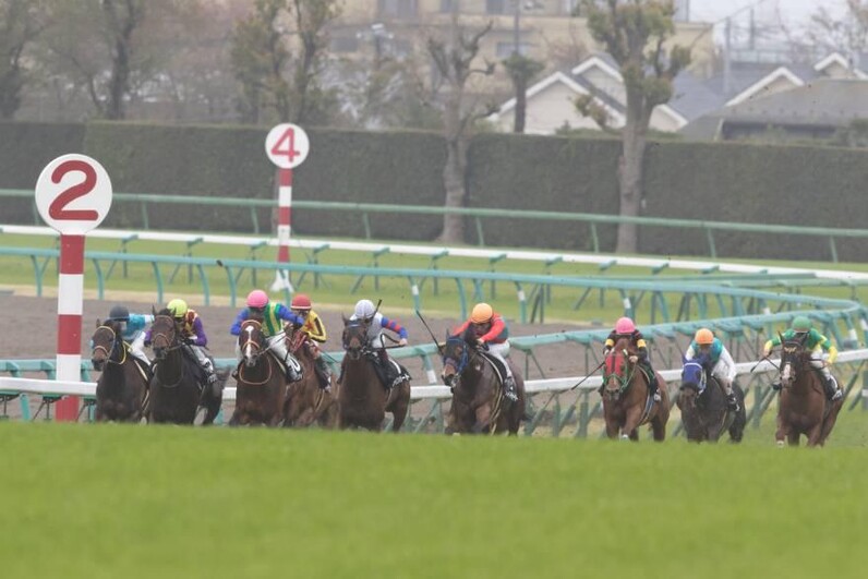 競馬AIがターコイズステークスを大予想 厳選ワイド3点＆3連複10点で勝負！ - スポーツナビ