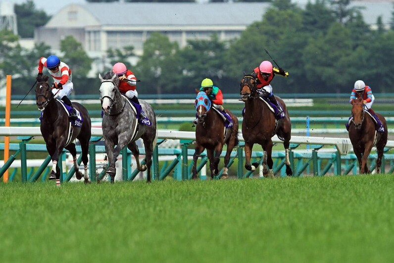 競馬aiがアーリントンc 中山gjを大予想 厳選ワイド3点 3連複10点で勝負 スポーツナビ