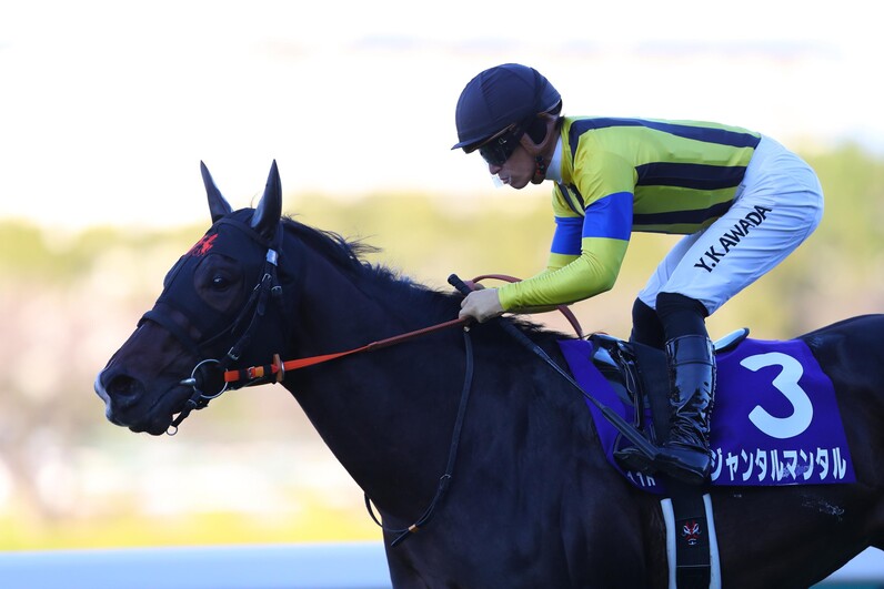 朝日杯FS】日本競馬に新風を呼ぶ血統、ジャンタルマンタルが無敗