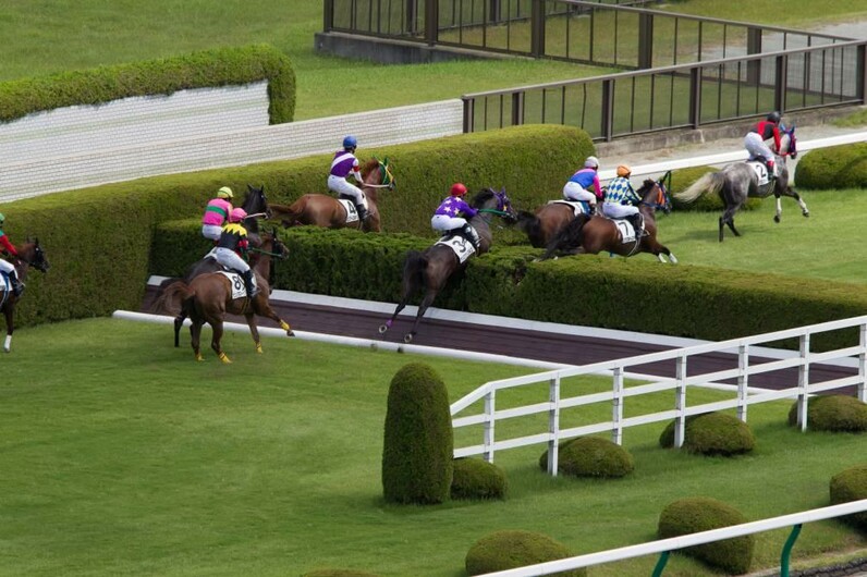 競馬AIが中山牝馬S、阪神スプリングJを大予想 厳選ワイド3点＆3連複10点で勝負！ - スポーツナビ