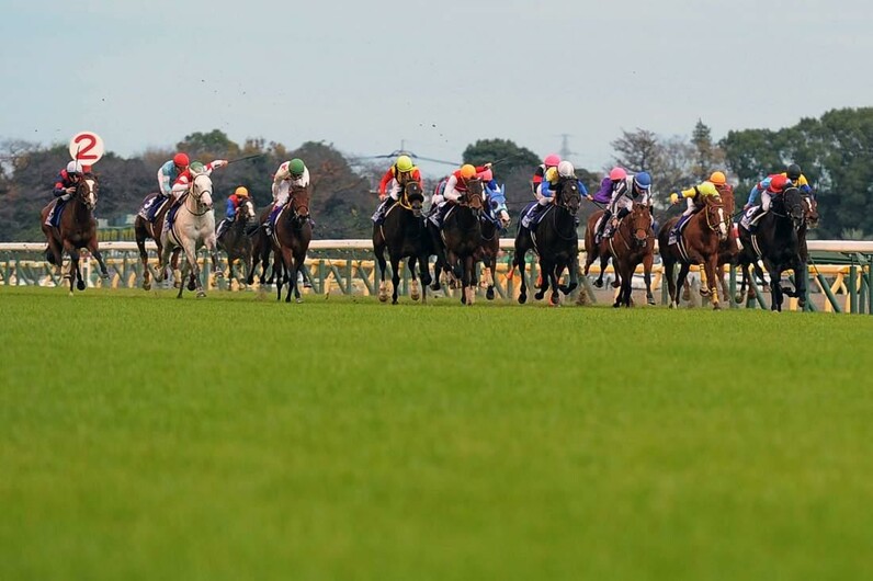 競馬AIが府中牝馬ステークスを大予想 厳選ワイド3点＆3連複10点で勝負！ - スポーツナビ