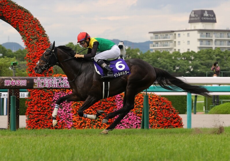 G1は1番人気が未勝利！ 今年上半期のJRA平地重賞を振り返る - スポーツナビ