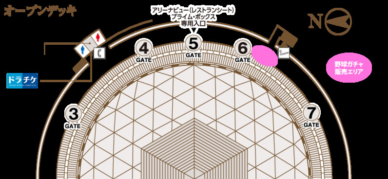 ドラゴンズガチャ根尾缶バッジ SD BADGE 2 VOL4 – CRAZY RACCOON