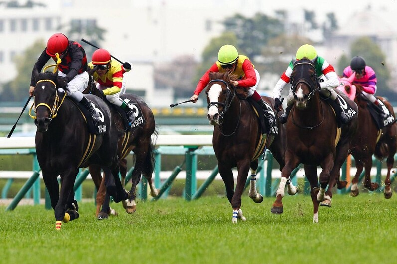 エリザベス女王杯で人気のあの馬は消し 競馬予想aiが狙いを定めたヒモ穴馬券 スポーツナビ