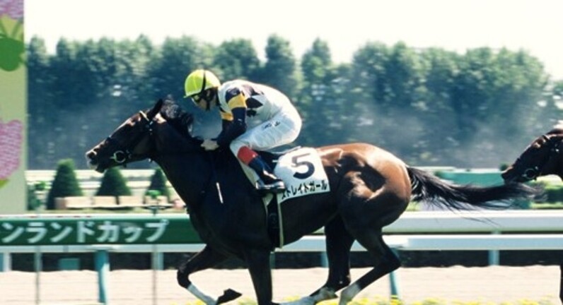 現地購入的中単勝馬券【3歳未勝利（初勝利）】デルタブルース 現地購入的中単勝馬券【3歳未勝利（初勝利）】デルタブルース