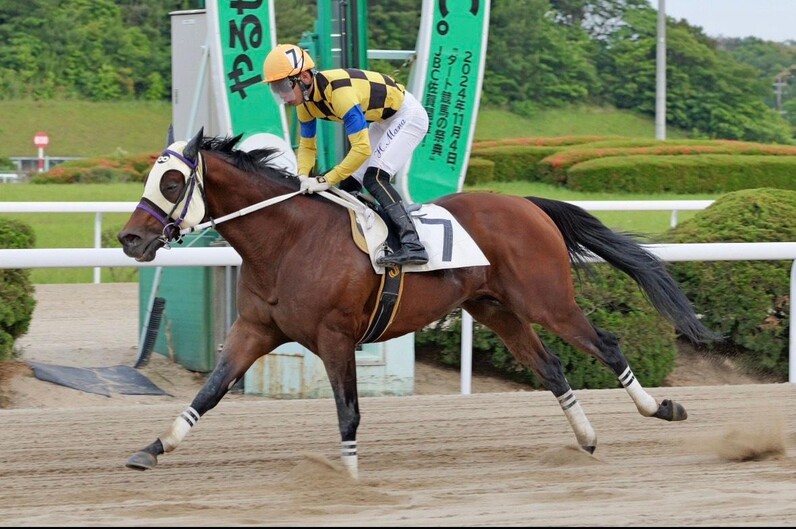 さがけいばニュース【6月8・9・11日】九州産馬限定のJRA交流競走