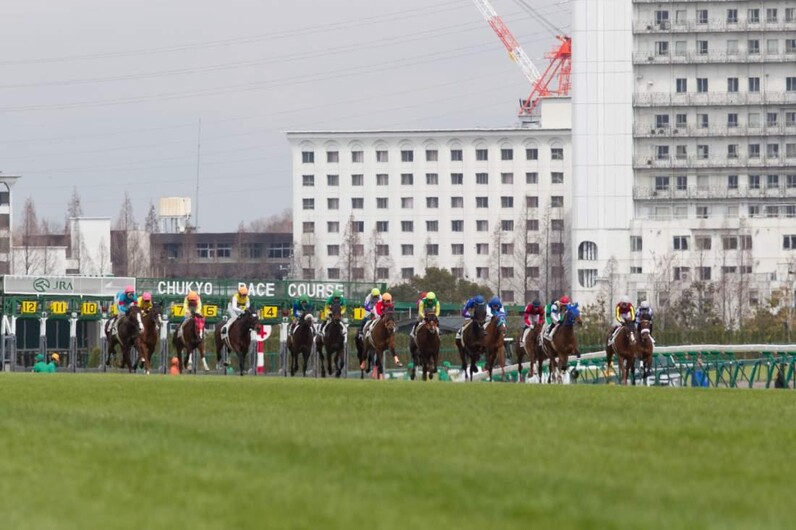 競馬AIが小倉記念、関屋記念を大予想 厳選ワイド3点＆3連複10点で勝負！ - スポーツナビ