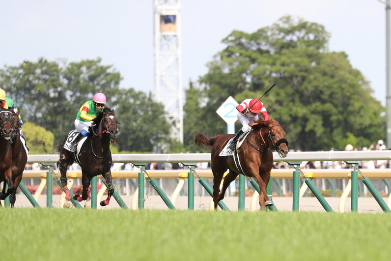 ①◆　競馬　JRA　◆　ダノンデサイル　◆　日本ダービー　◆　２種類セット　◆ ダービー、ダノンデサイルV 皐月賞直前除外から立て直す 横山典